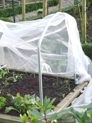 Harrod Horticultural Covered Raised Bed System
