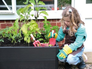 Harrod Horticultural Raised Bed System