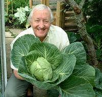 Growing Cabbage