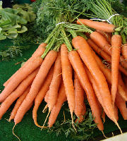 Carrots