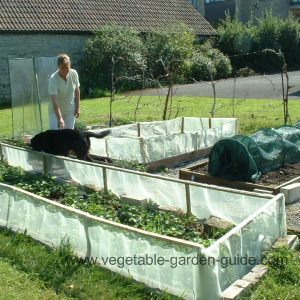 Garden Designs Gardening Tips Natural Organic And Conventional