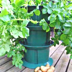 Dobies Patio Potato Planter