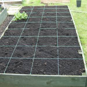 Raised  Gardening on Winter Raised Bed Vegetable Garden   Biodynamic Gardening