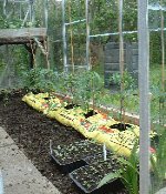 Planting a Vegetable Garden Blog