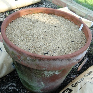 carrot seed covered with vermiculite