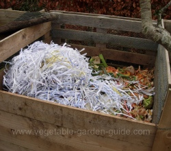 Before becoming a vegetable garden