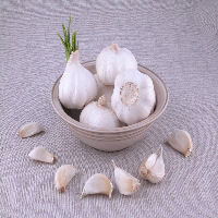 How to Grow Garlic