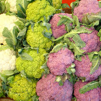 how to grow cauliflower colours - زمان و چگونگی انتقال نشاء گل کلم را شرح دهید