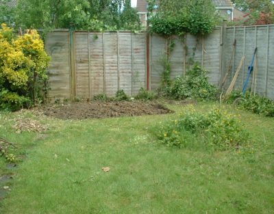 Vegetable Garden Preparation