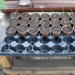Growing Onions