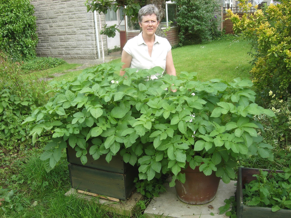 Container Vegetable Gardening