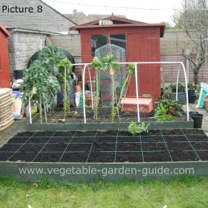 Raised Garden Bed Construction