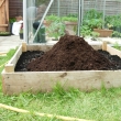 Raised Vegetable Beds