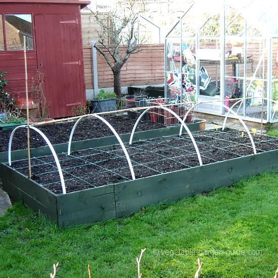 Raised Vegetable Beds Picture Gallery To Stimulate you Into Building