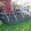 Raised Vegetable Beds