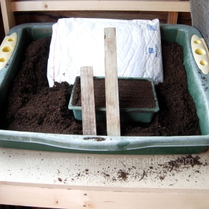 starting seeds - proding compost with fingers