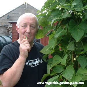 French or Snap Beans in container