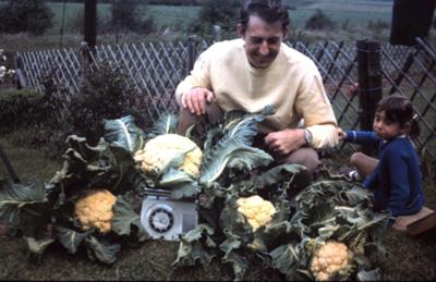 White Winter Broccoli