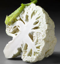 How to Grow Cauliflower