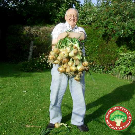 Laurence and onions