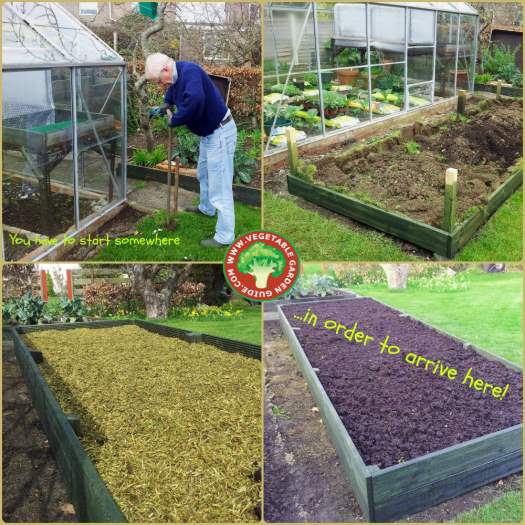 Raised bed vegetable gardening.