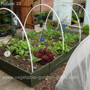 Raised Garden Bed Construction