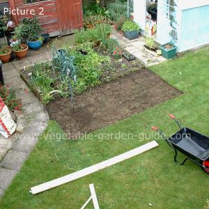 Raised Garden Bed Construction