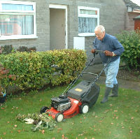 shredding for Garden Compost