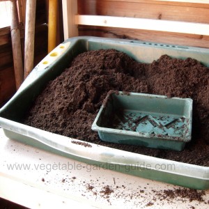 starting seeds - sowing station, peat and small tray