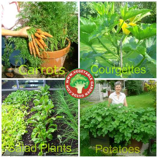 Vegetable gardening guide