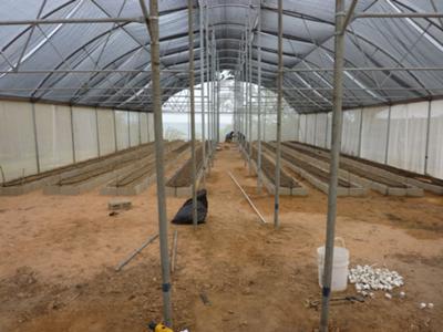 Our Mesh Greenhouse
